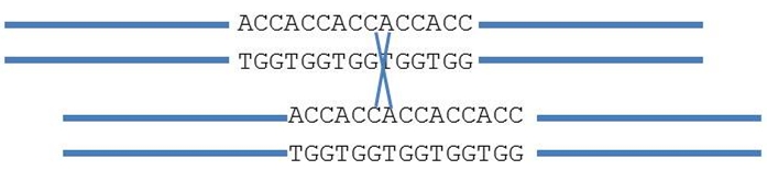 SSR_alleles_events.jpg