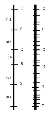 highresolutionmapping1.jpg