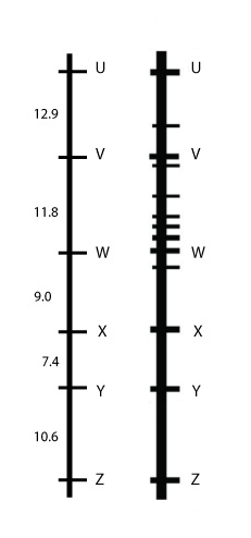 highresolutionmapping2.jpg