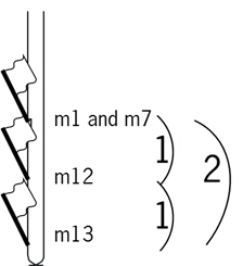 example_linkage_map_1_7_12_13.jpg